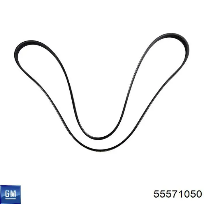 Купить 55571050 General Motors Ремень генератора