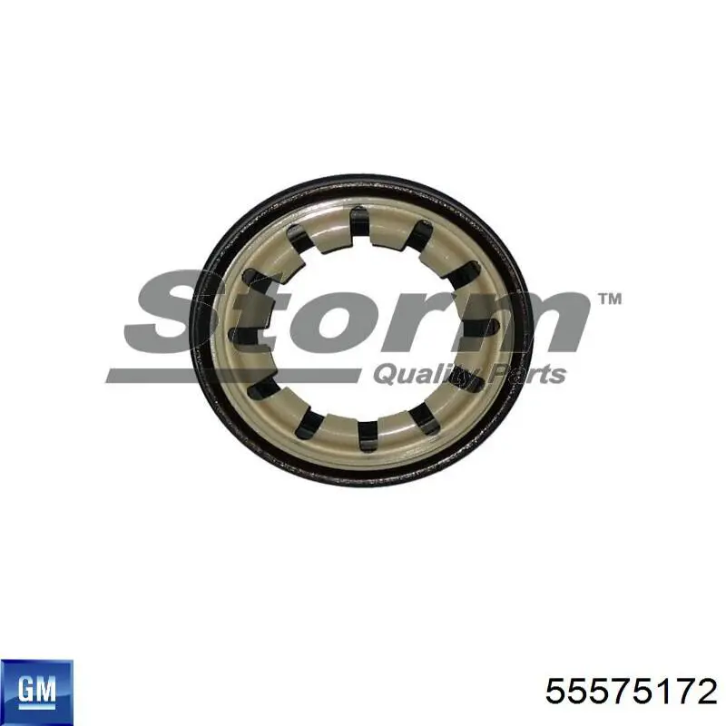 Купить 55575172 Opel Кольцо инжектора