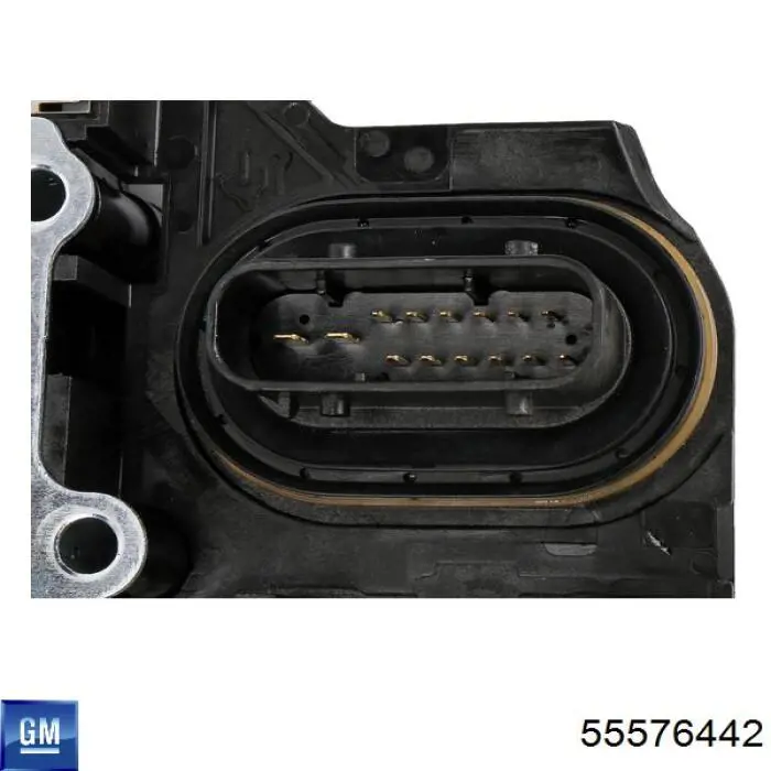 55576442 Market (OEM) 