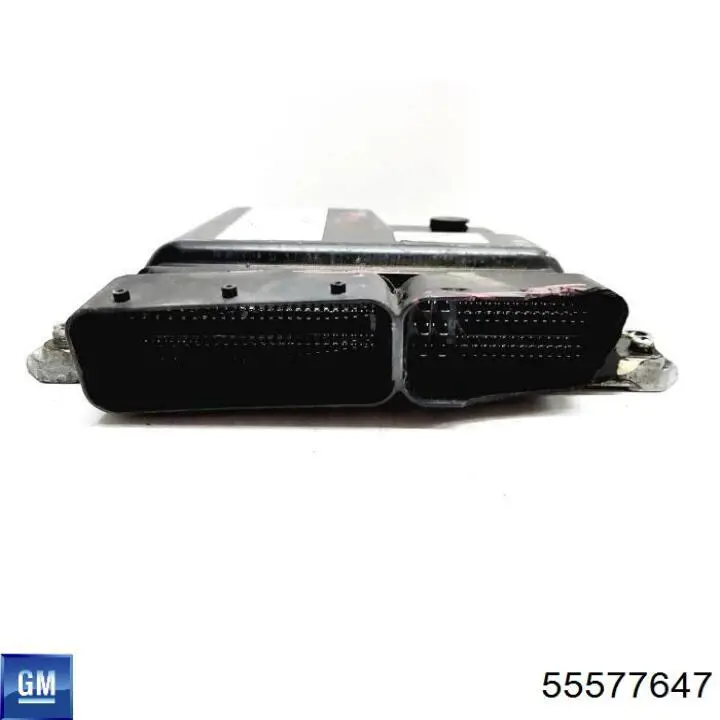55577647 General Motors 