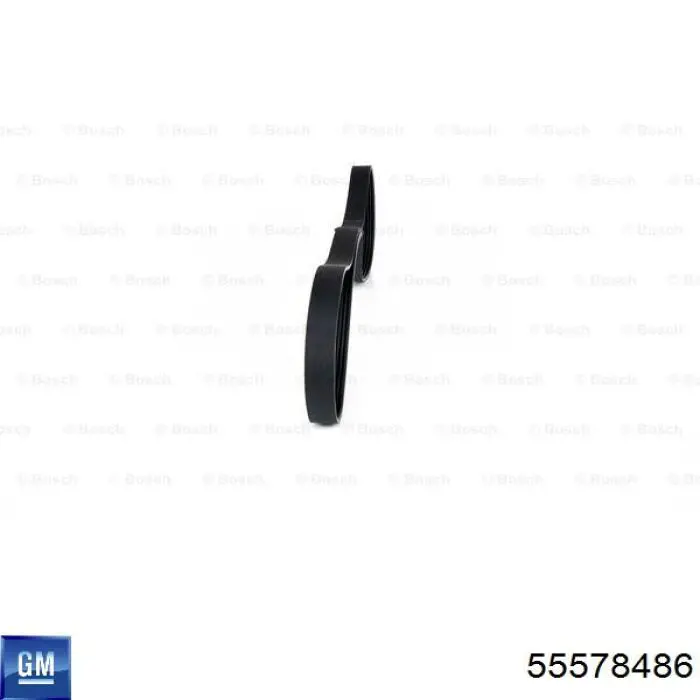 Купить 55578486 General Motors Ремень генератора