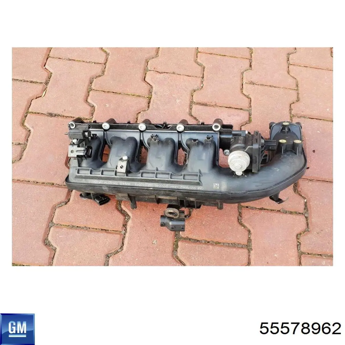 55578962 General Motors 