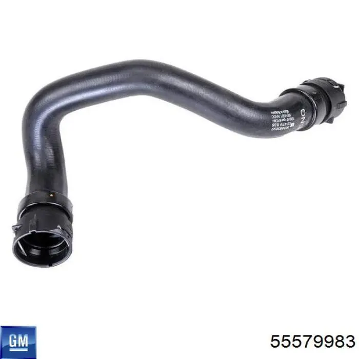Прокладка помпы General Motors 55579983