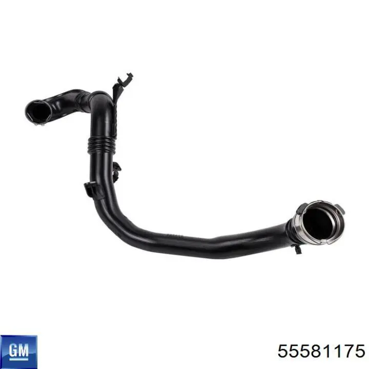 Купить 55581175 General Motors 