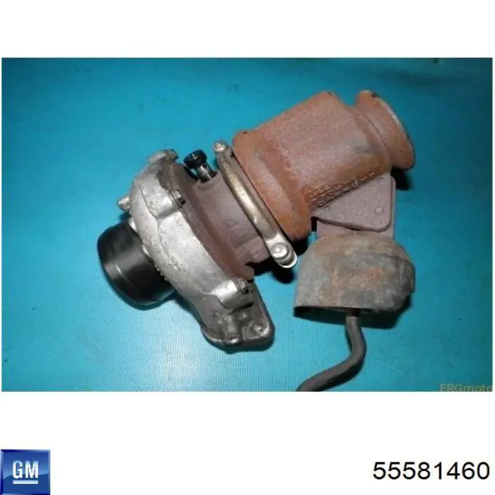 55581460 General Motors turbina