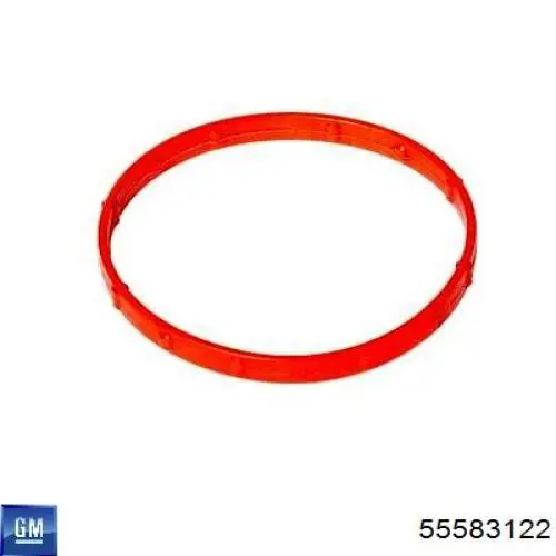 Купить 55583122 General Motors Кольцо уплотнительное патрубка EGR