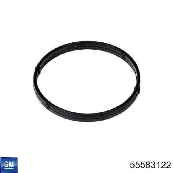 Кольцо уплотнительное патрубка EGR 55583122 General Motors