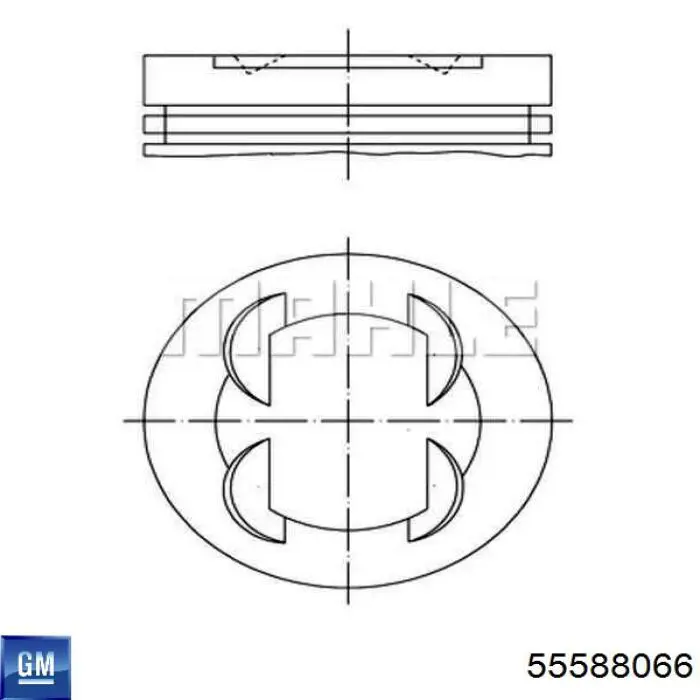 55588066 General Motors 