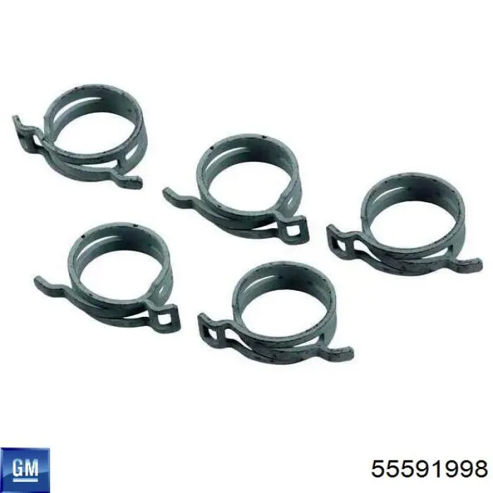  55591998 General Motors