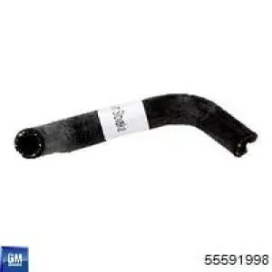  General Motors 55591998