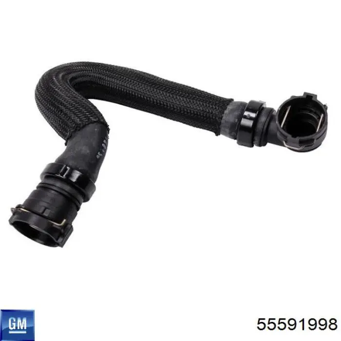 55591998 General Motors 