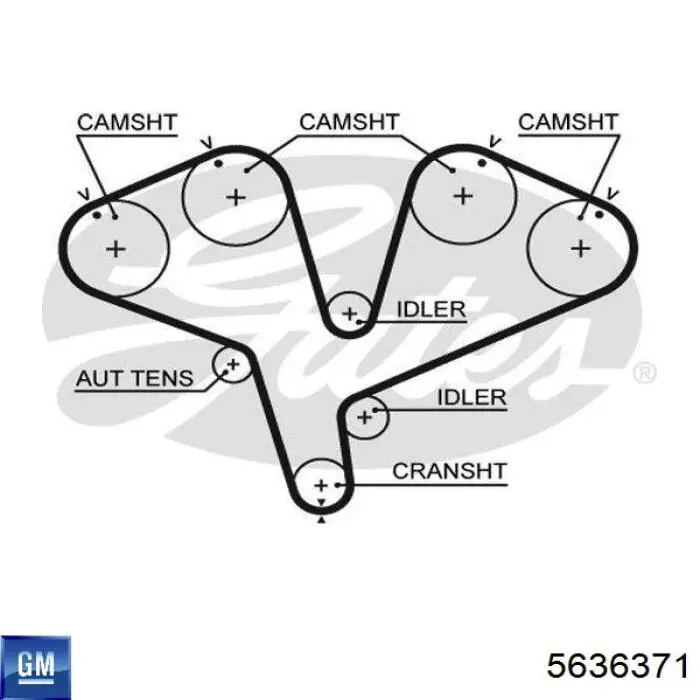 5636371 General Motors Ремень двигателя