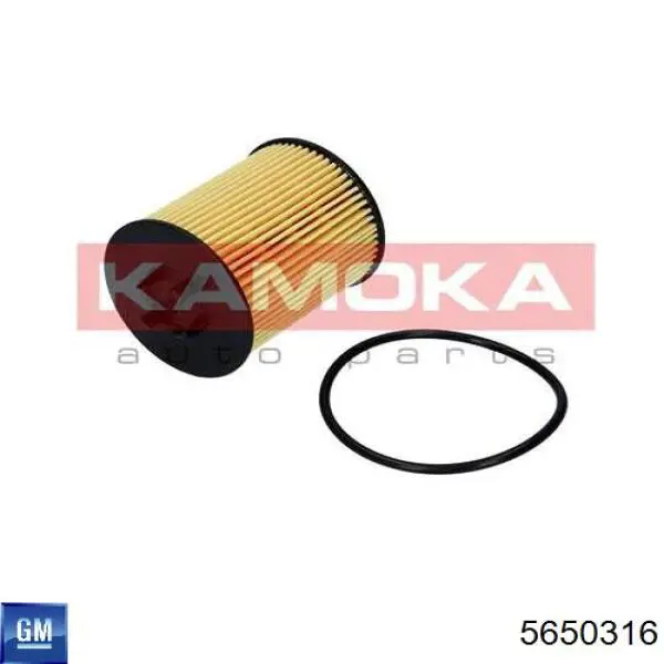 Купить 5650316 General Motors Фильтр центробежный очистки масла