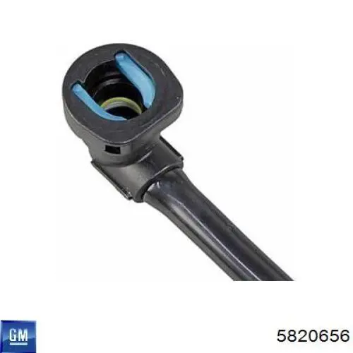 Купить 5820656 Opel Трубка топливная, от фильтра к насосу