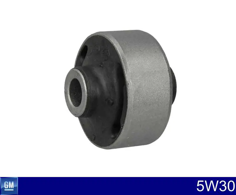 Масло моторное General Motors 5W30