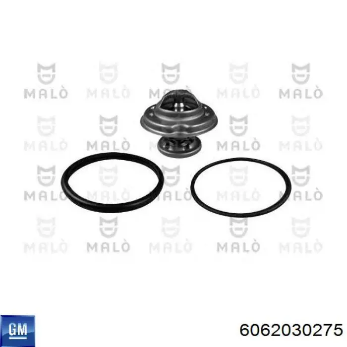 Термостат в сборе General Motors 6062030275