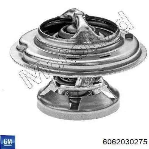 6062030275 General Motors Авто термостат