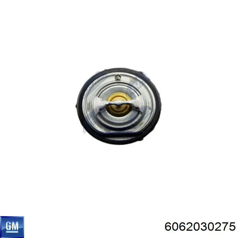 Термостат 6062030275 General Motors