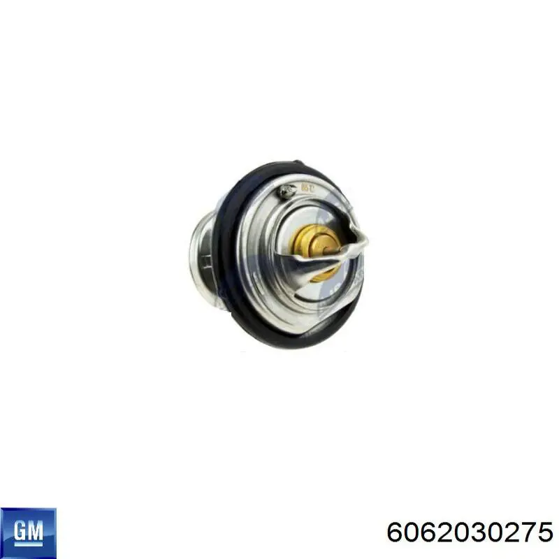 Купить 6062030275 General Motors Автомобильный термостат