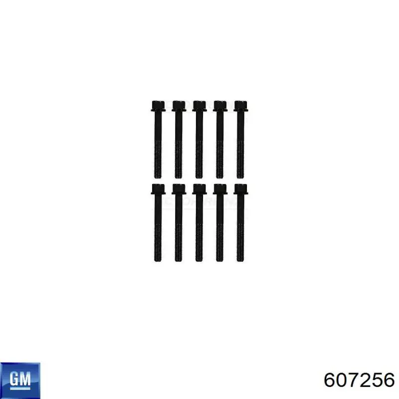 Купить 607256 General Motors Болт ГБЦ