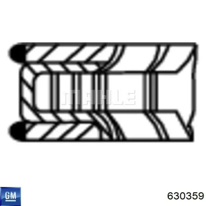  630359 General Motors