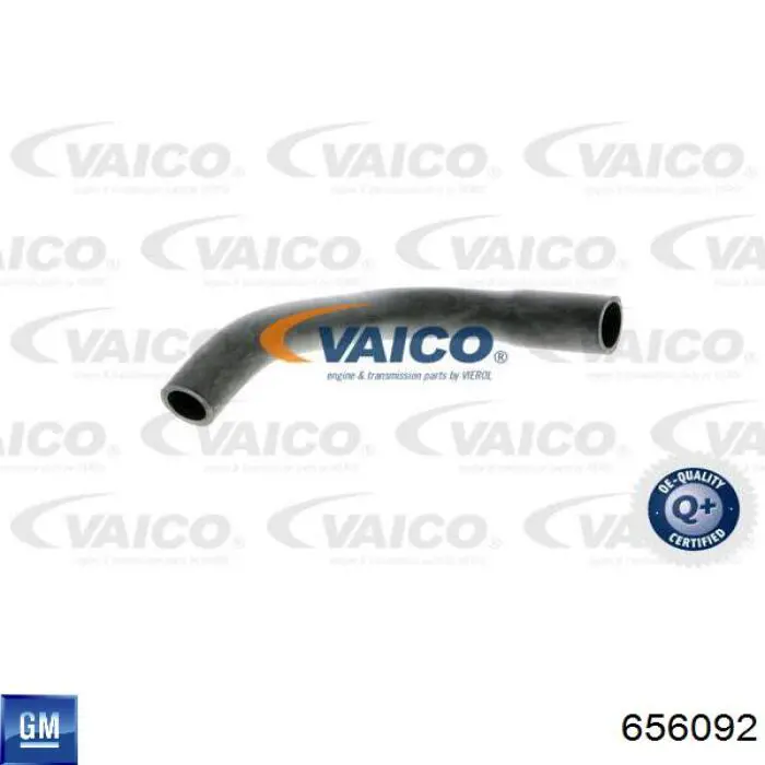Патрубок вентиляции картера, маслоотделителя General Motors 656092 цена, от 8.19 USD