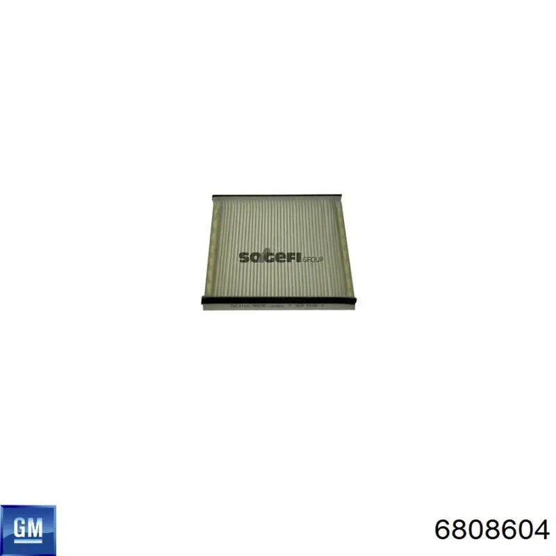 6808604 General Motors Внутрисалонный фильтр