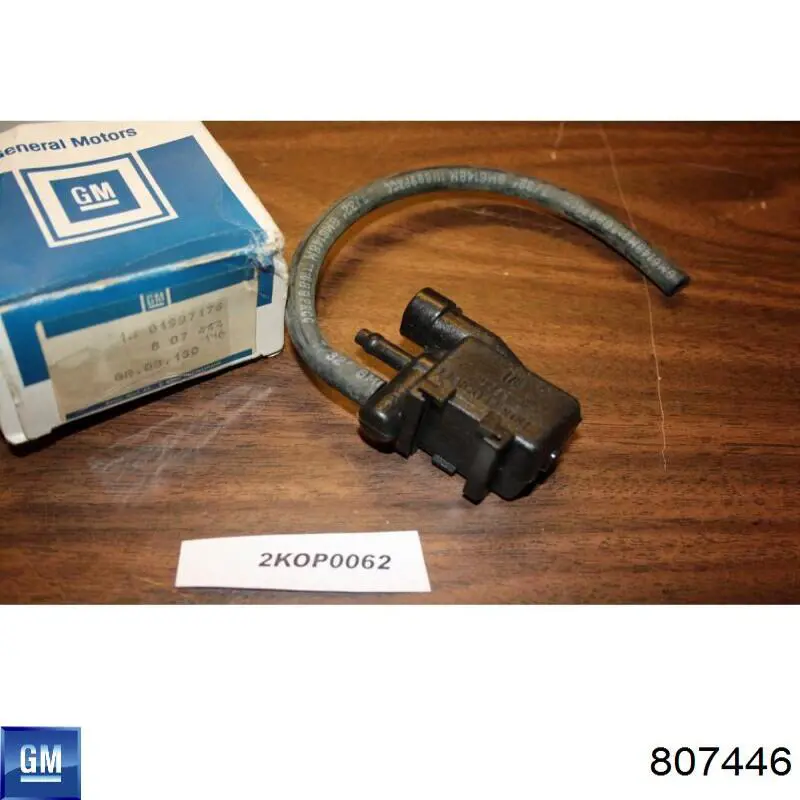 807446 General Motors 