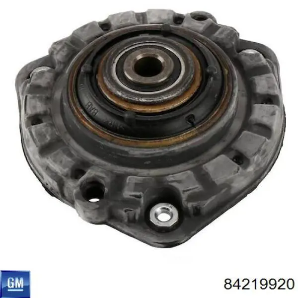 84219920 General Motors 