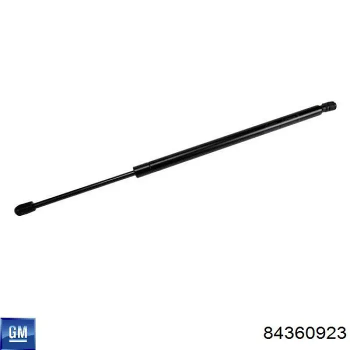Амортизатор задней двери General Motors 84360923 цена, от 44.34 USD
