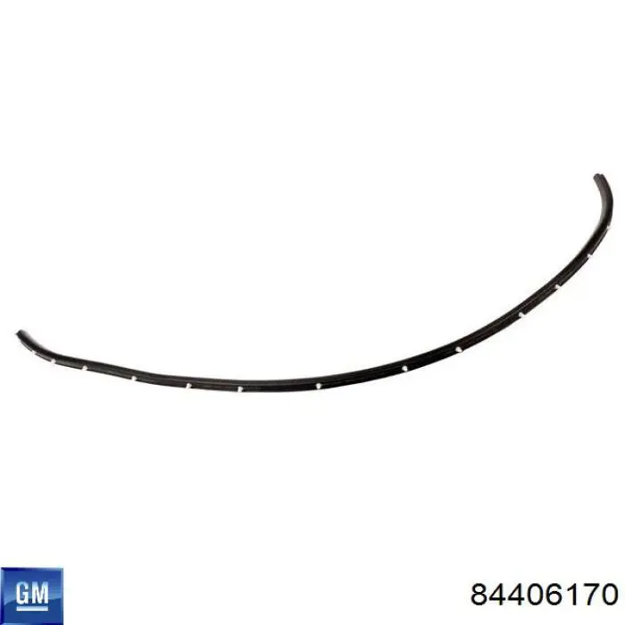 Купить 84406170 General Motors 
