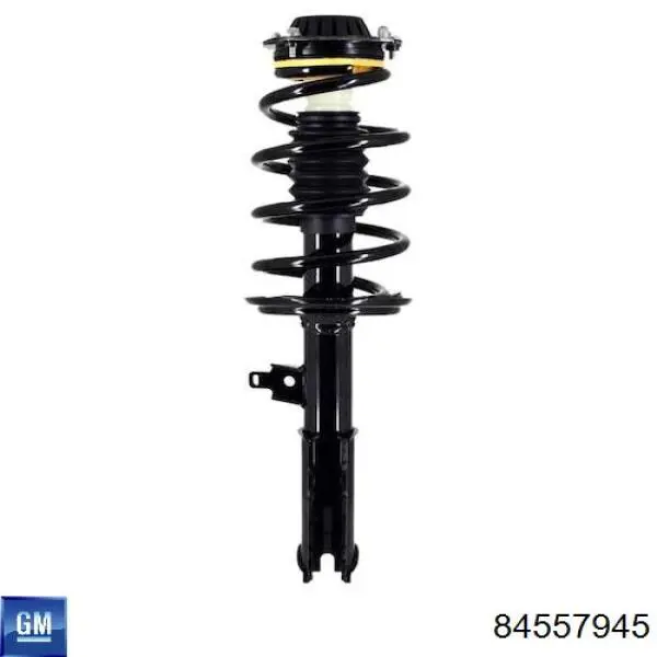 84557945 General Motors 