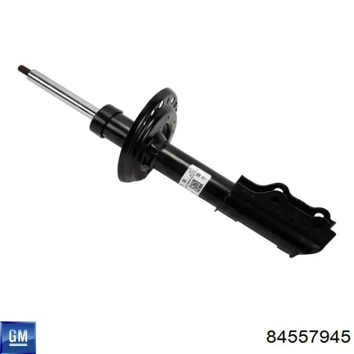 84557945 General Motors 