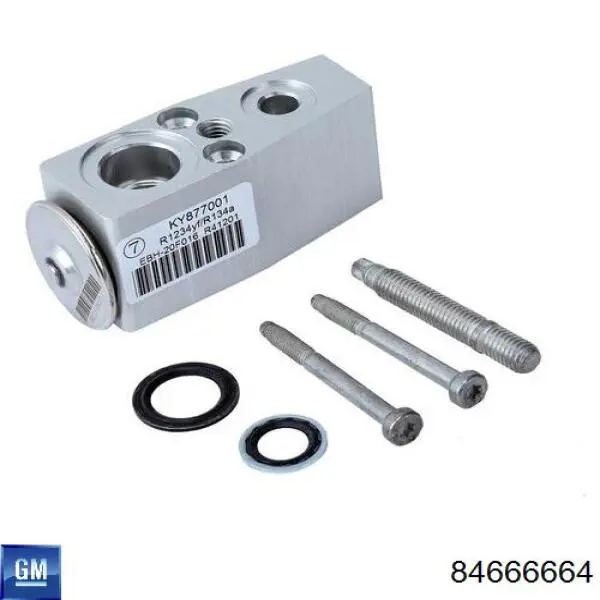 84666664 General Motors 