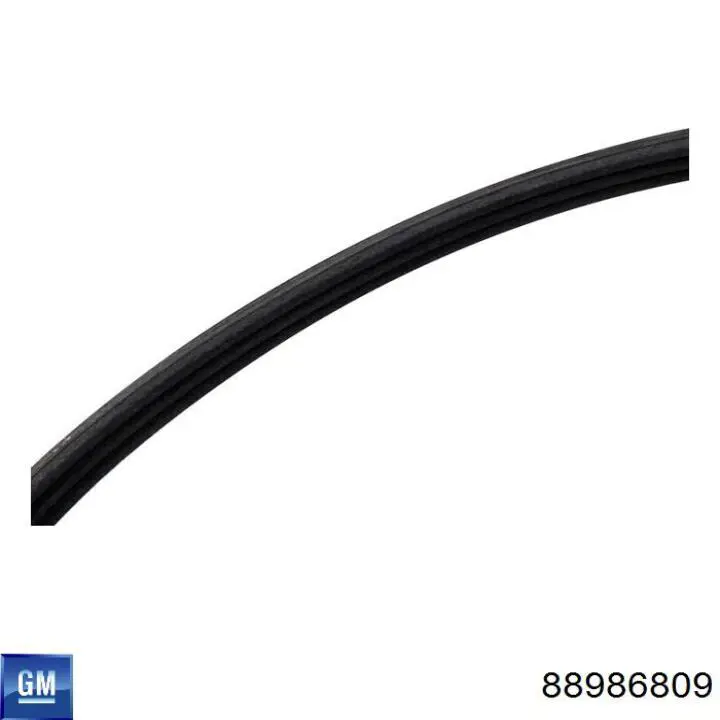Ремень генератора K05281760AA Fiat/Alfa/Lancia