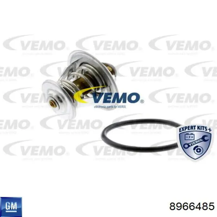 8966485 General Motors Авто термостат