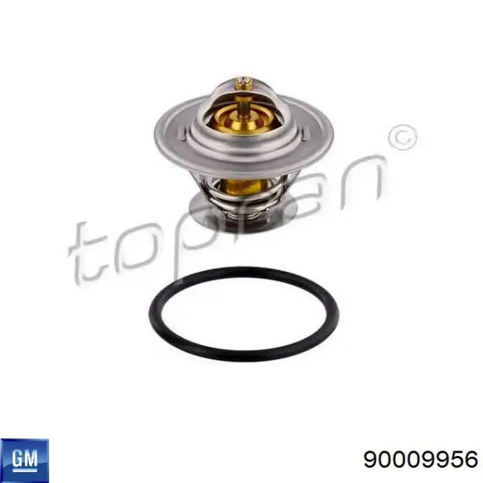 Купить 90009956 General Motors Автомобильный термостат