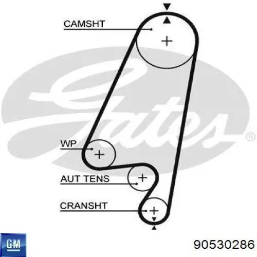 Ремень ГРМ 90530286 General Motors