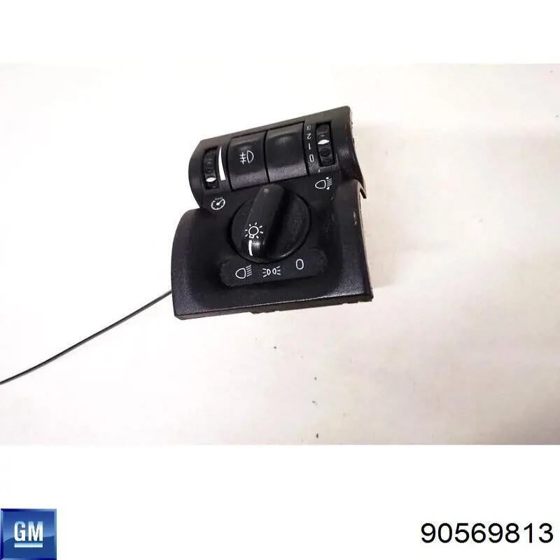 90569813 General Motors 