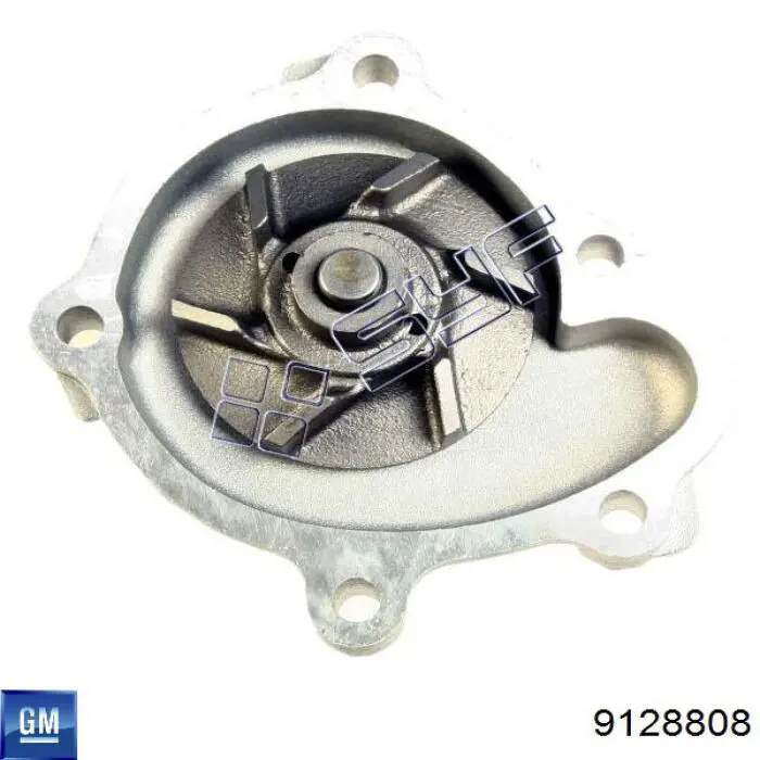 Шланг радиатора, нижний Sasic 3406408 цена, от 16.96 USD