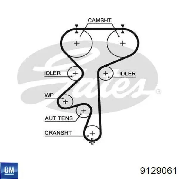 Ремень ГРМ 9129061 General Motors
