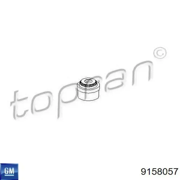 Маслосъемный сальник клапана впуск/выпуск General Motors 9158057 цена, от 0.98 USD