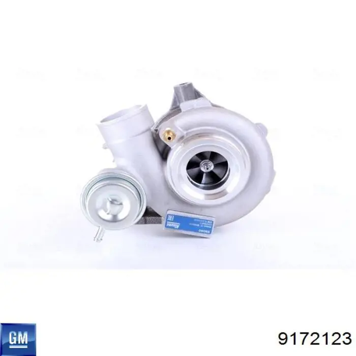 Турбонагнетатель General Motors 9172123 цена, от 181.21 USD