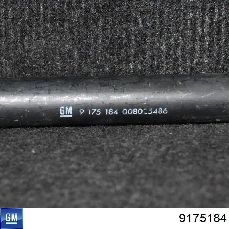 9175184 General Motors 
