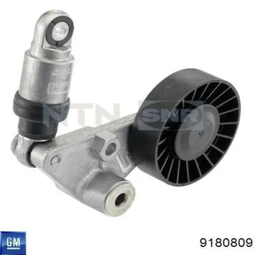 Роликовий модуль натяжителя ремня General Motors 9180809 цена, от 14.09 USD