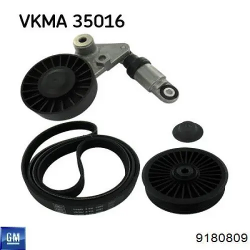 Купить 9180809 General Motors Натяжитель приводного ремня