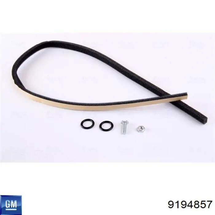  General Motors 9194857 цена, от 10.72 USD