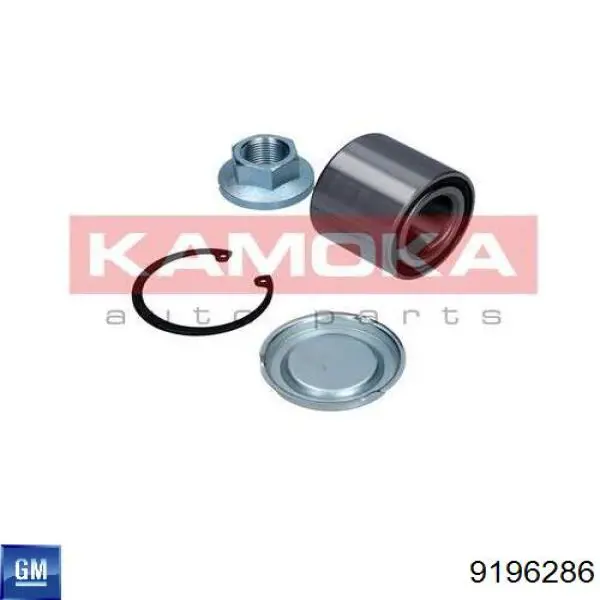 Подшипники задней ступицы General Motors 9196286 цена, от 20.30 USD