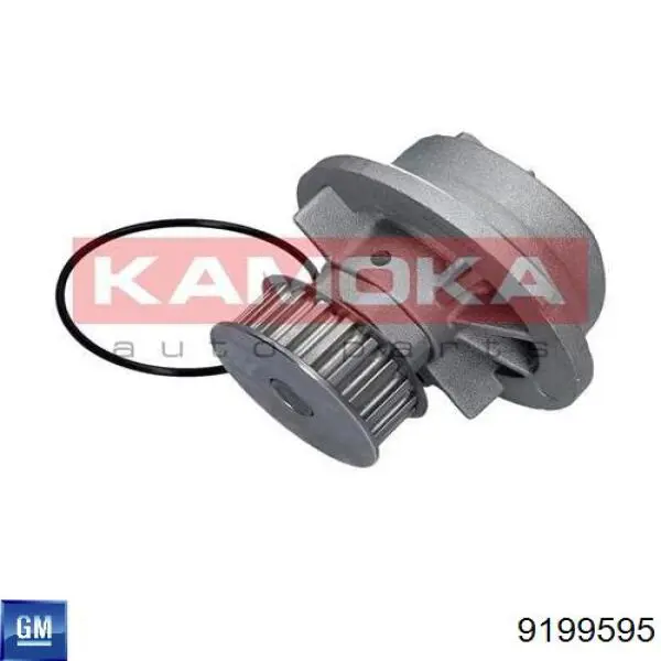 Помпа охлаждения General Motors 9199595 цена, от 32.66 USD