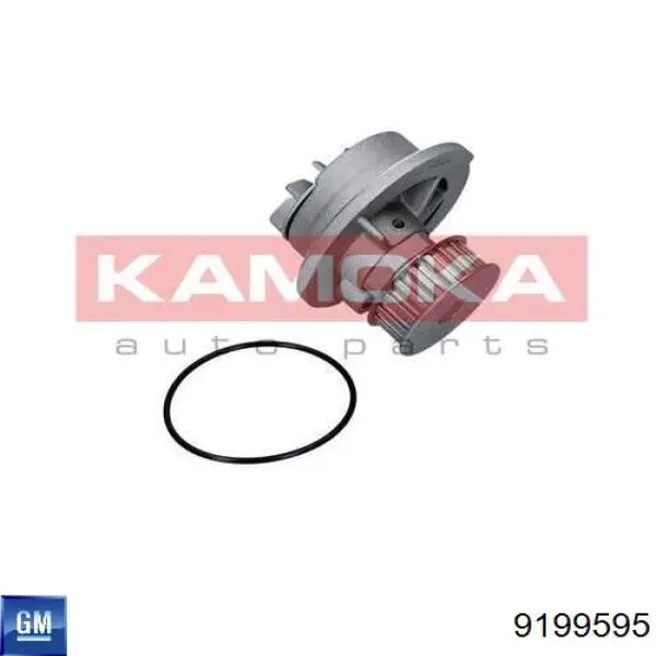 Помпа 9199595 General Motors
